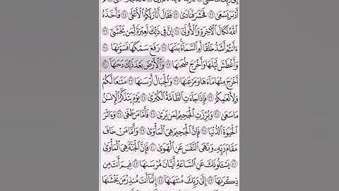 @علي جابر_Ali Jaber (سورة النازعات)