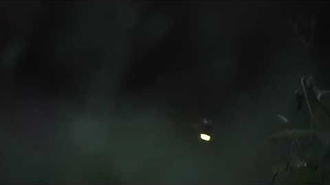 Satisfying Fireflies