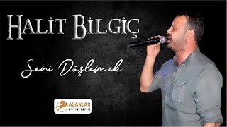 Halit Bilgiç - Seni Düşlemek Resimi