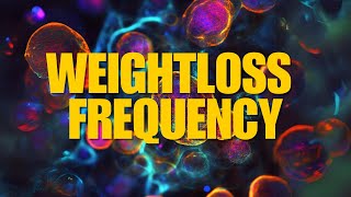 WEIGHTLOSS FREQUENCY 295.8Hz - Intense and Fast Acting ⚡