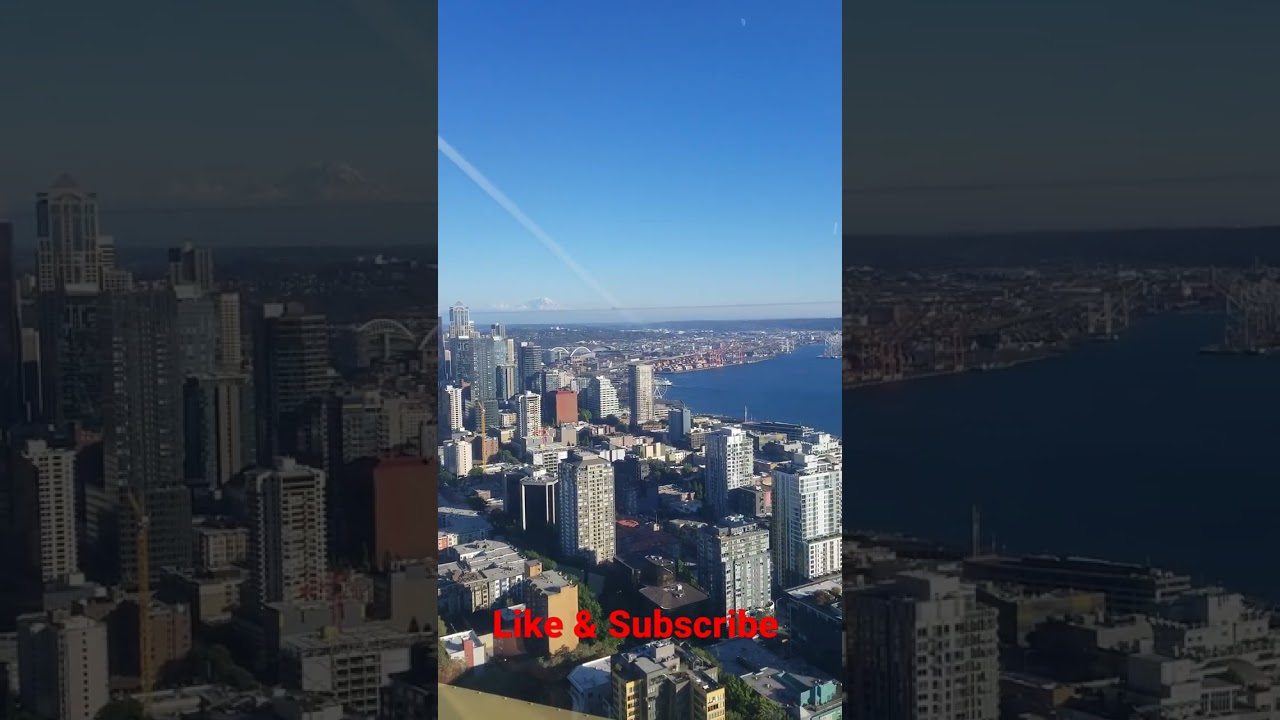 the view from the Space Needle