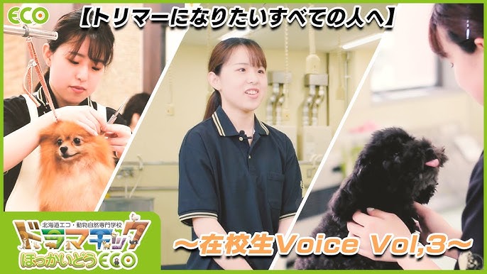 トリマーになりたいすべての人へ 在校生 Voice Vol 3 Youtube