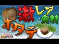 【隠し要素】激レア食材「ホタテ」の入手＆調理方法【とったど～よゐこの無人島生活】