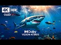 Best of OLED HDR 4K 60 FPS Video - Dolby Vision  Atmos Surround Music
