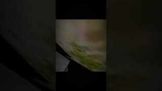 Sigma Granny Kill Me