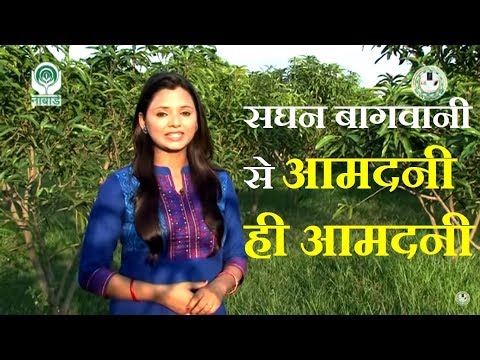 वीडियो: एगेरिया सघन