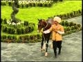 Turkmenian Akhalteke horses-2.mpeg