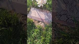 Visiting my dad and my uncle- Mount Carmel Cemetery. Hillside IL.
