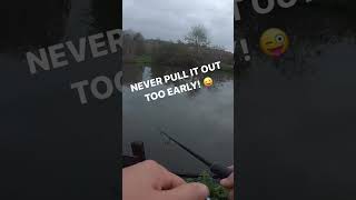 Lure fishing tips to catch more perch #perchfishing #fishingtips #lurefishing #lurefishinguk