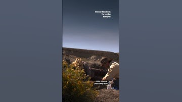 Scientists uncover mind-blowing fossil #shorts