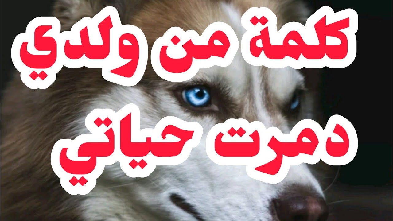 كلمة من ولدي خربت حياتي⛔واقع ومريت بيه والصدمة في النهاية