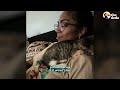 Cat Begs Mom To Put Him Back On The Treadmill | The Dodo