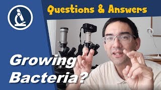 🔬 Growing bacteria at home?
