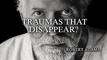 Do Traumas Really Disappear When the “Self” Is Gone? The Truth According to Robert Adams