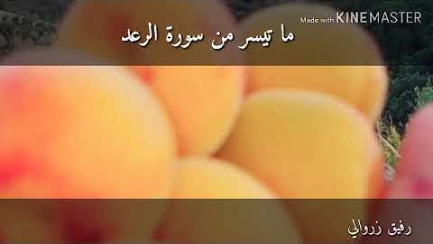 ما تيسر من سورة الرعد