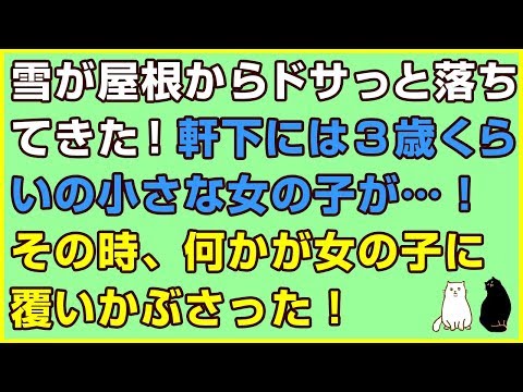 スカッとする話×武勇伝★雪が屋根からドサっと落ちてきた！軒下には3歳くらいの小さな女の子が…！その時、何かが女の子に覆いかぶさった！【感動屋ジャパン】