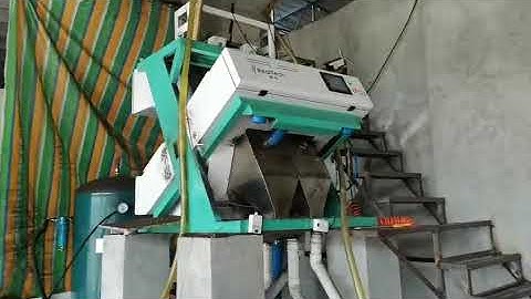 Pepper Color Sorter Colour Sorting Machine Video Remove Stab and impurities in China