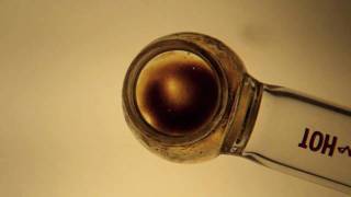 NugNews#13: Hash & Oil