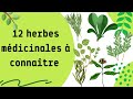 12 herbes mdicinales  connatre absolument