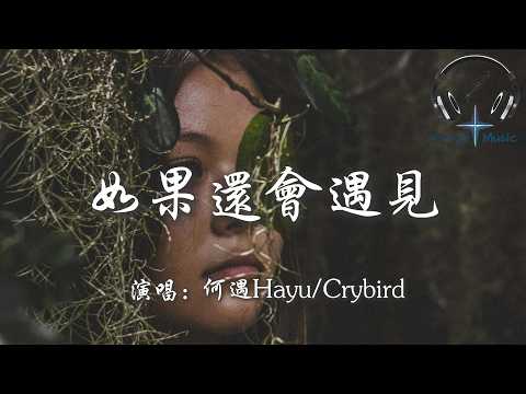 何遇Hayu/Crybird - 如果還會遇見『如果還會遇見 能不能灑脫一點 如果還有遺憾 或許也裝的釋然』【動態歌詞MV】