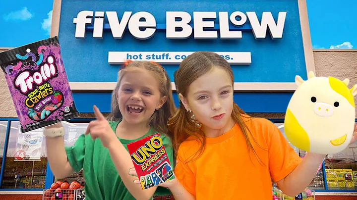 Shopping 🛒 Challenge!! at Five Below with @HallieOnStage114