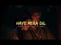 Haye Mera Dil Female version x Bewafa Slowed reverb Mp3 Song