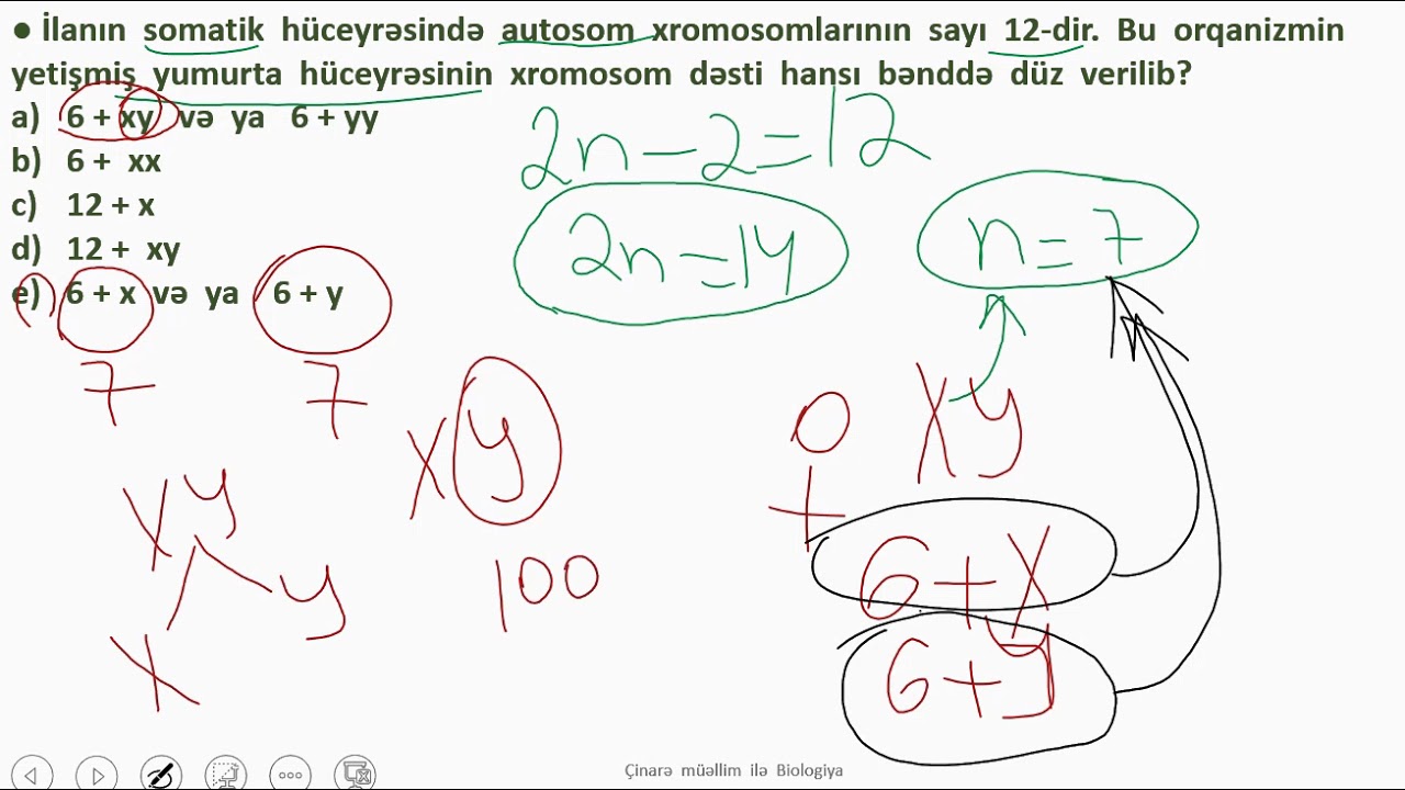 TAPSIRIQ #3 ( cinsiyyetin  genetikasi)