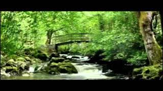 Within Temptation - In perfect harmony