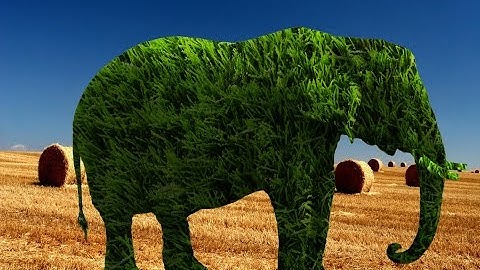 How to make Grass Effect into Elephant in adobe Photoshop cs6