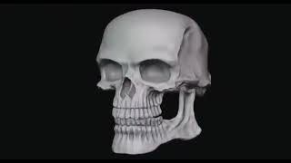 Meme De Esqueleto Con Sonriente