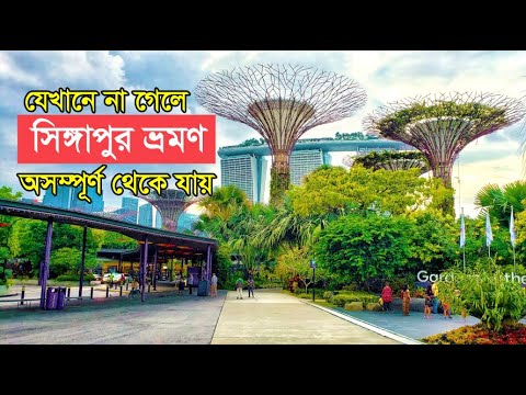 ভিডিও: চায়নাটাউন কোথায় অবস্থিত?