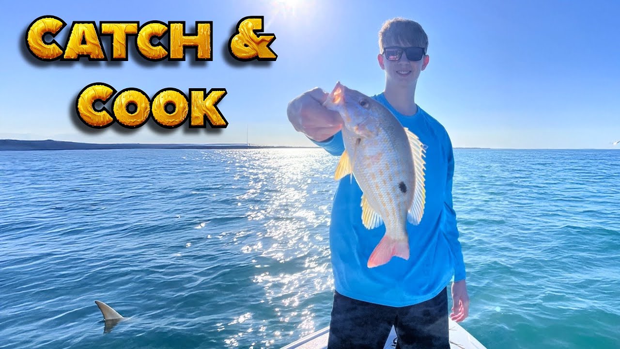 Multi-Species Catch & Cook in the Florida Keys! (Non-Stop Bites)