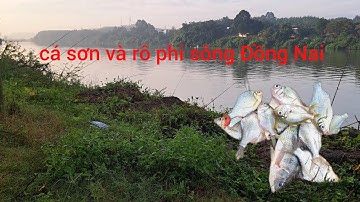 Tập 15 ( trải nghiệm câu cá hiểu liêm bãi câu cá mè dảnh nhiều nhất sông Đồng Nai...toàn 67 vlog 