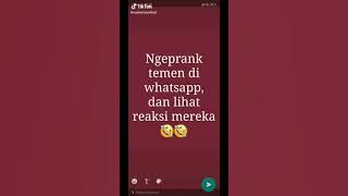 Rangkuman 2020 TikTok Prank Chat Prank Teks. Gokil Baper Romantis Jadi Satu