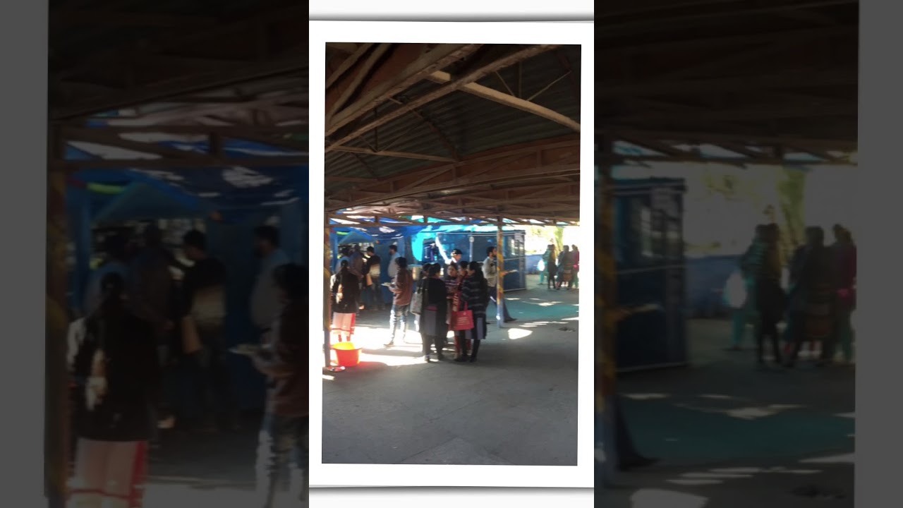 Dosa in 16 rupees at jammu university | GEDI ROUTE JAMMU