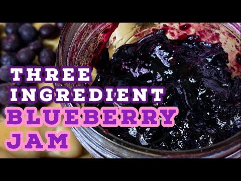 वीडियो: ब्लूबेरी जैम पाई कैसे बनाये