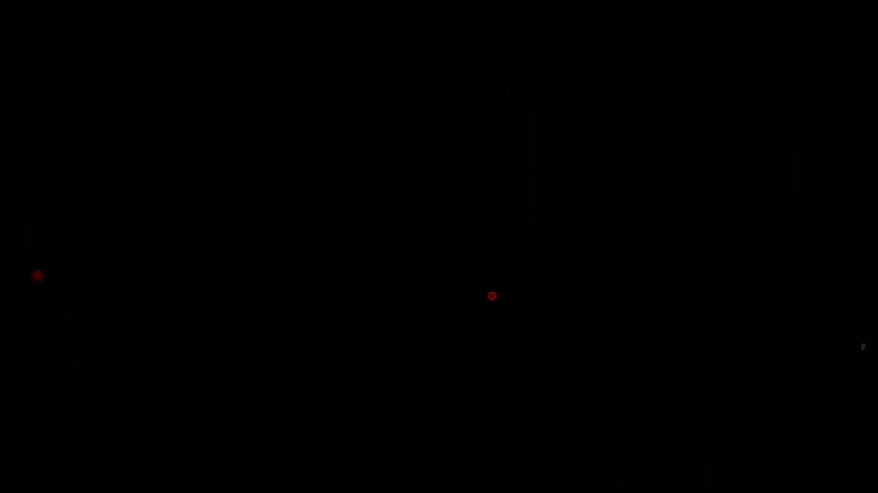 Holy Mass live streamed from St. Ann Catholic Church in Clayton, North Carolina, USA