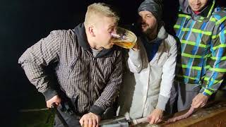 Разделка свиньи в деревне. Словацкая традиция. Slovak tradition.  Butchering pig in a local village.