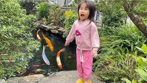 Vui học cùng bé-Bé chip đi bắt cá vàng,cá chắm khổng lồ,cá koi…ở trong công viên