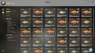 : Russian Fishing 4   .  47.51