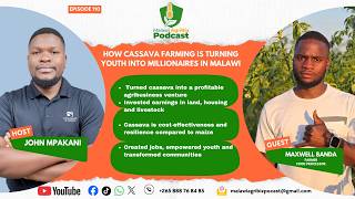 He chose Farming over Office Jobs | How Cassava Farming is Turning Youth into Millionaires in Malawi