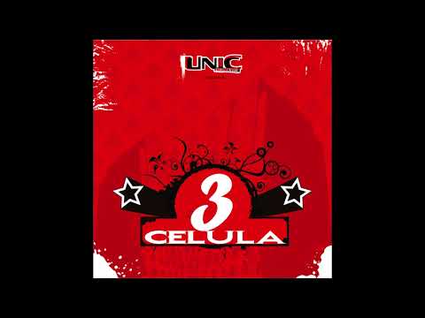 21. Enzima - E Romania! (Audio)