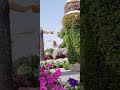 Dubai Miracle Garden- Downtown,  city of Dubai, motor city , Dubai tours April 28, HD
