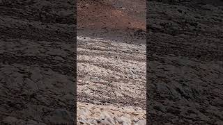 'Gator-Back' Rocks Found On Mars