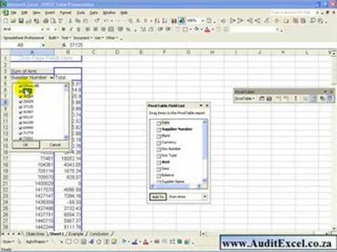 Build Pivot Tables in Excel 2003- turn data into reports that can be run monthly