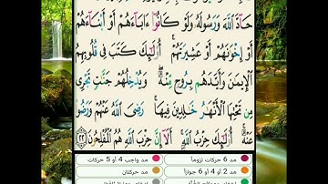 سورة المجادلة: تفصيل أحكام الآية 22 (و الأخيرة )برواية حفص عن عاصم.