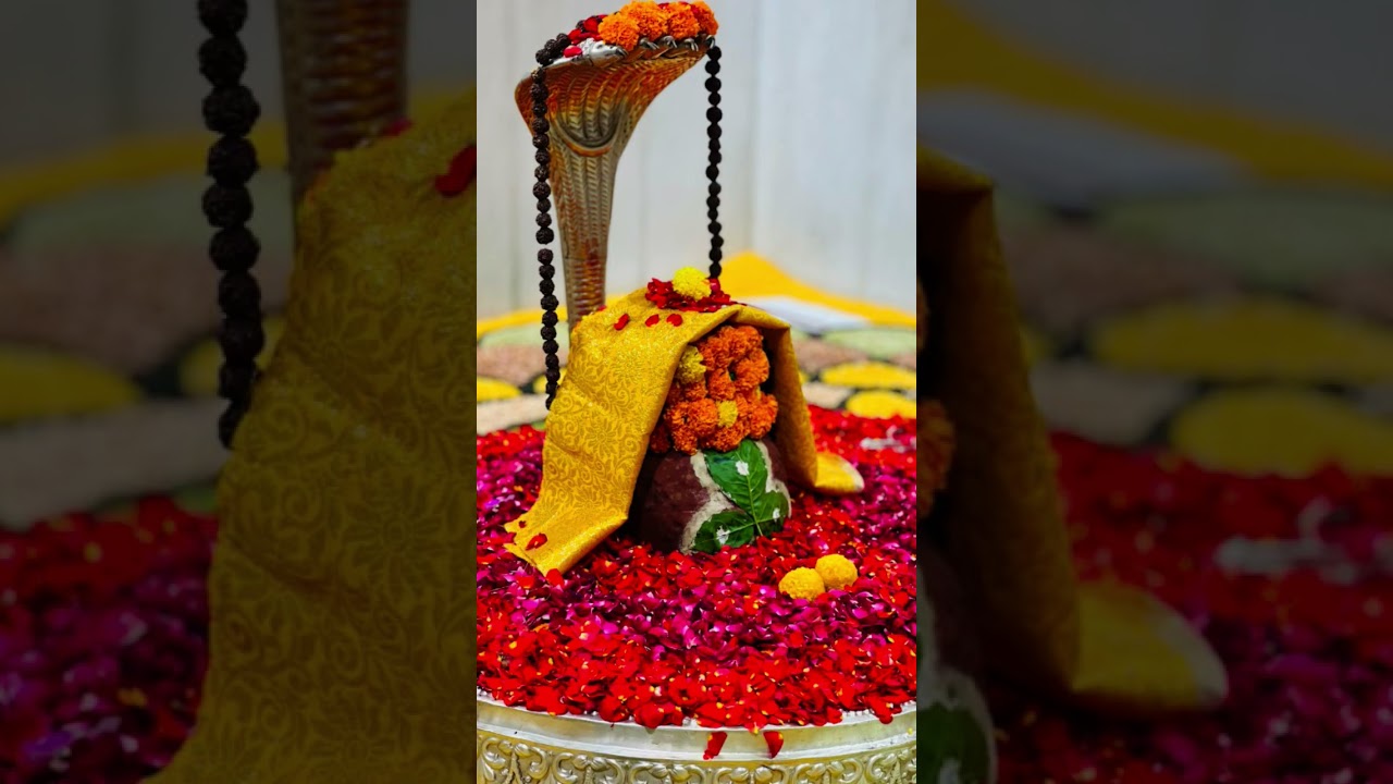 #Har Har Mahadev 🙏🏻🙏🏻🙏🏻🙏🏻🙏🏻🙏🏻🙏🏻🙏🏻🙏🏻🙏🏻🙏🏻🙏🏻🙏🏻🙏🏻🙏🏻