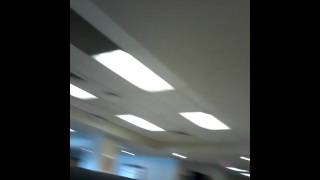 Ciego pin pon Ciego pin pon