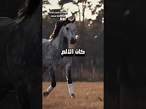 كان الألم يملأ صدري كغيمة سوداء