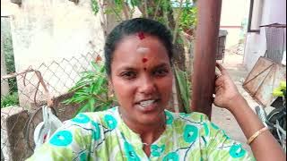 சுட சுட சோறும் கத்திரிக்காய் தொக்கும் அள்ளி சாப்பிட்டு பாருங்க செம்ம டேஸ்ட் கத்திரிக்காய் தொக்கு 